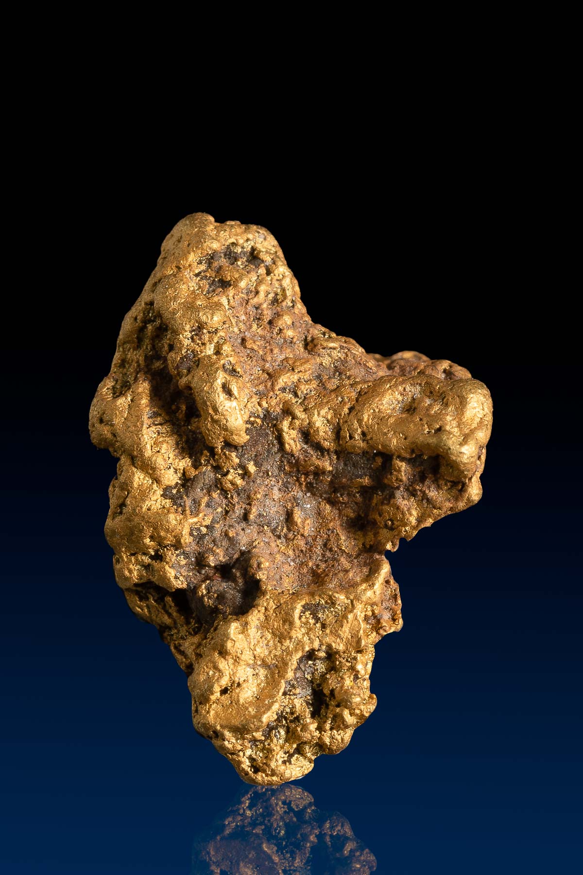 Tall Armed Arizona Natural Gold Nugget - 4.80 grams
