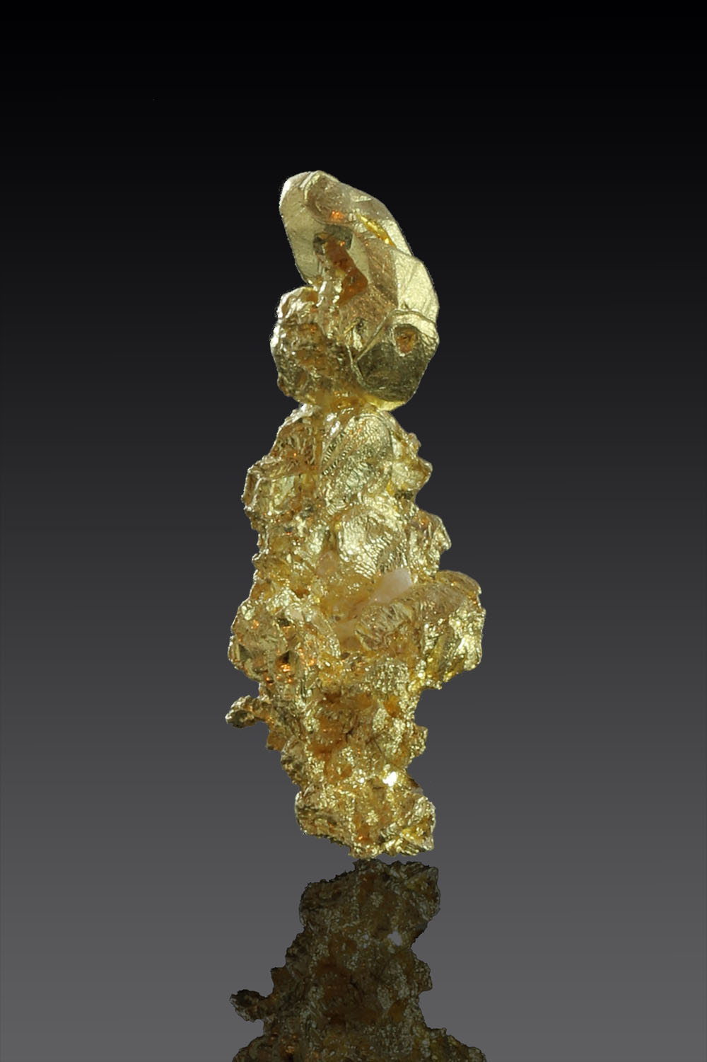 (image for) Elongated Rare Gold Crystal from the Colorado Quartz Mine