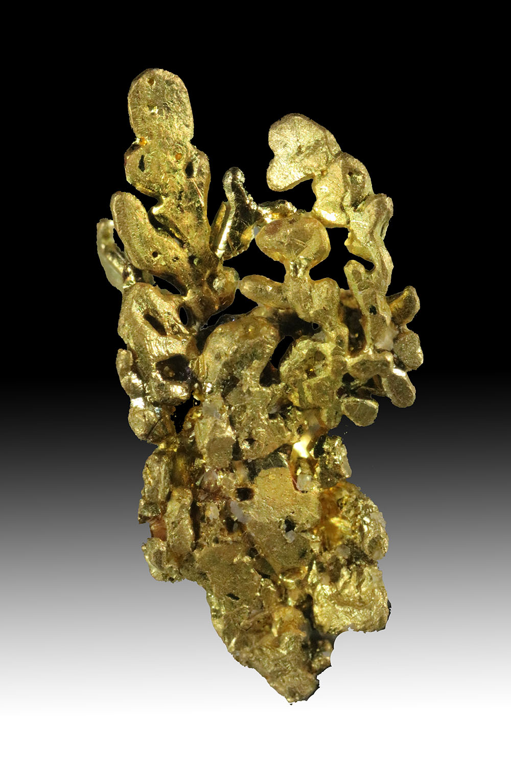 (image for) California Gold Crystal - Click Image to Close