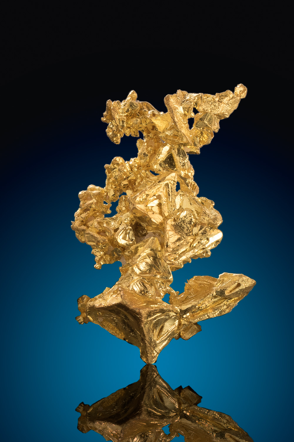 (image for) Magnificent Trigon Gold Crystal Cluster - Mockingbird, CA