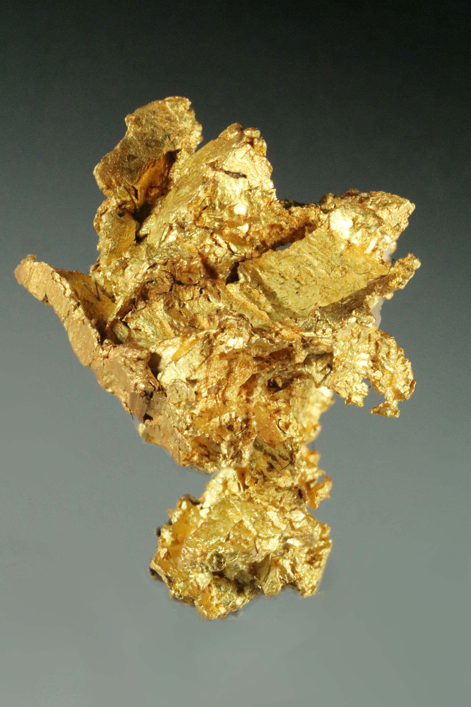 (image for) Fantastic Crystalline Gold from Sonora, Mexico