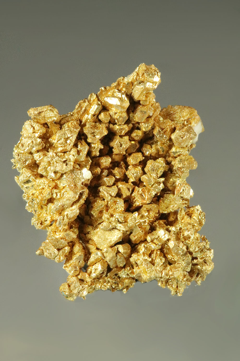 (image for) A Blanket of Gold Crystals - Round Mountain Gold Specimen