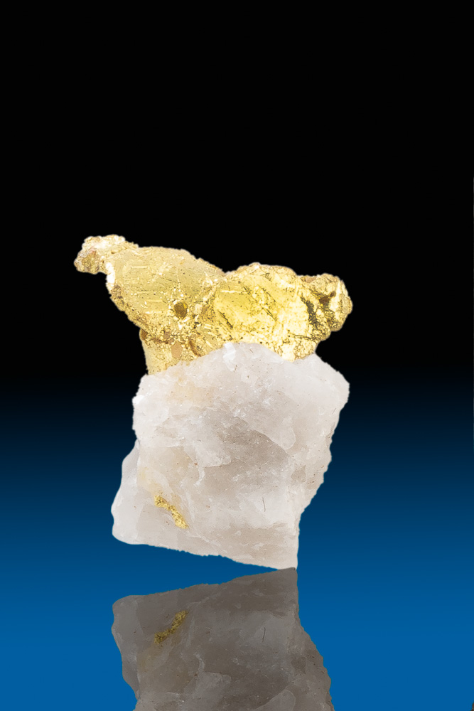 Leaf Gold on Quartz Grass Valley, California [MB704] 69.00