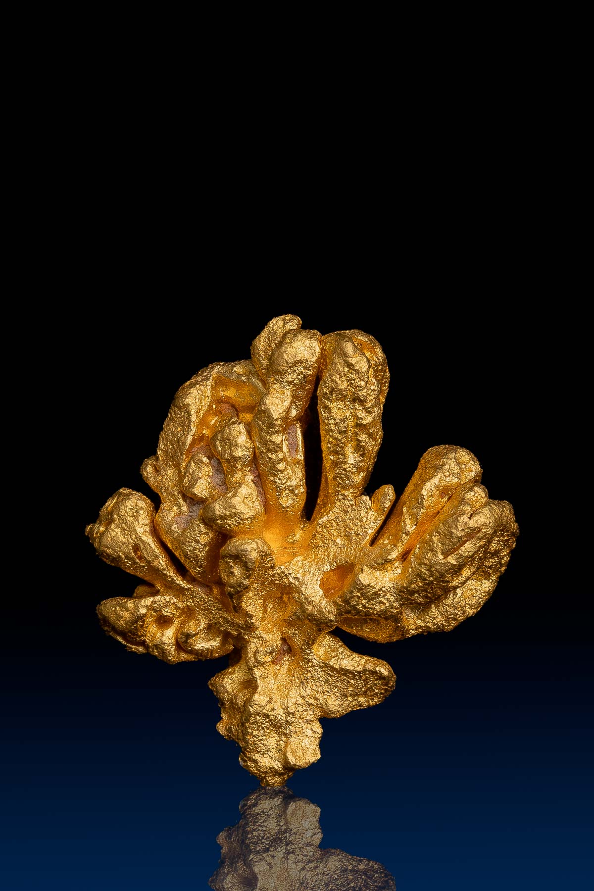 "Clover" Shaped Natural Gold Nugget Crystal from Brazil