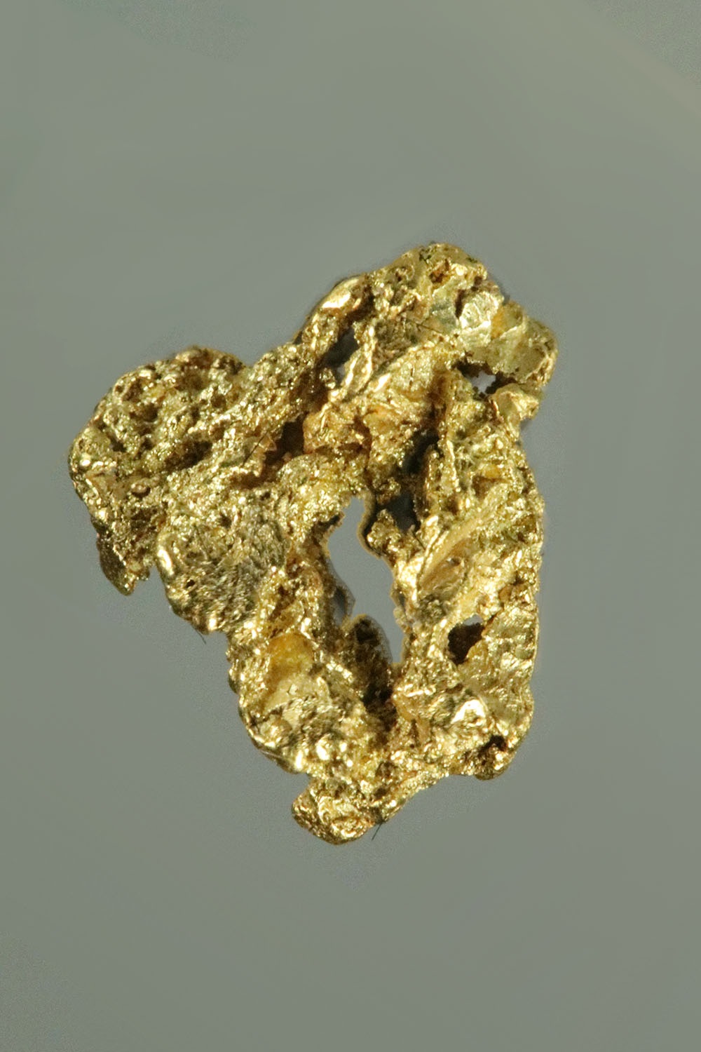 (image for) Denali National Park, Alaska - Looped Gold Nugget