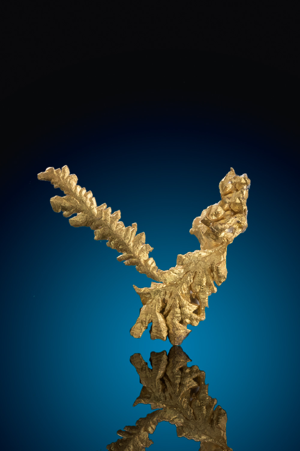 (image for) "Wish Bone" Shaped Gold Crystal From The Diltz Gold Mine