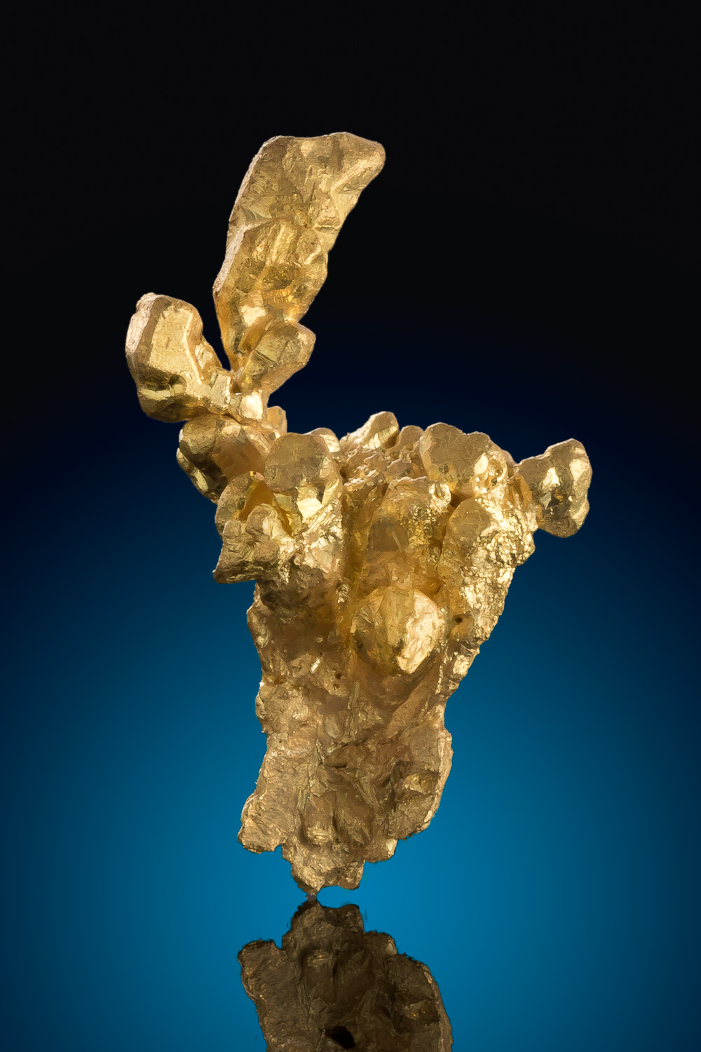 Intricate and Unique - Mariposa County, Diltz Gold Mine (image for) Intricate and Unique - Mariposa County, Diltz Gold Mine