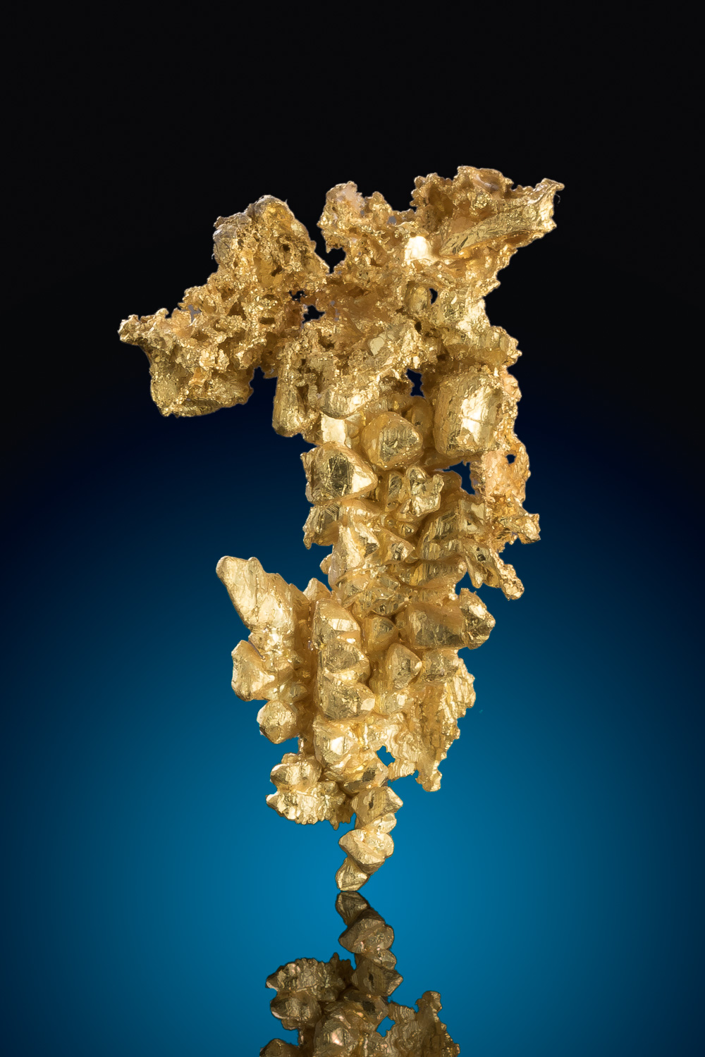 (image for) Large Faceted Gold Crystal from the Diltz Gold Mine - Mariposa