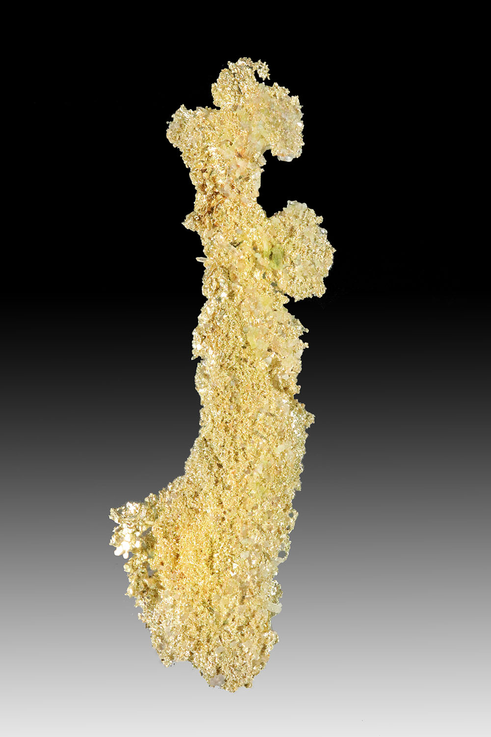 Long and Well Crystalized Sponge Gold Olinghouse Mine 475.00