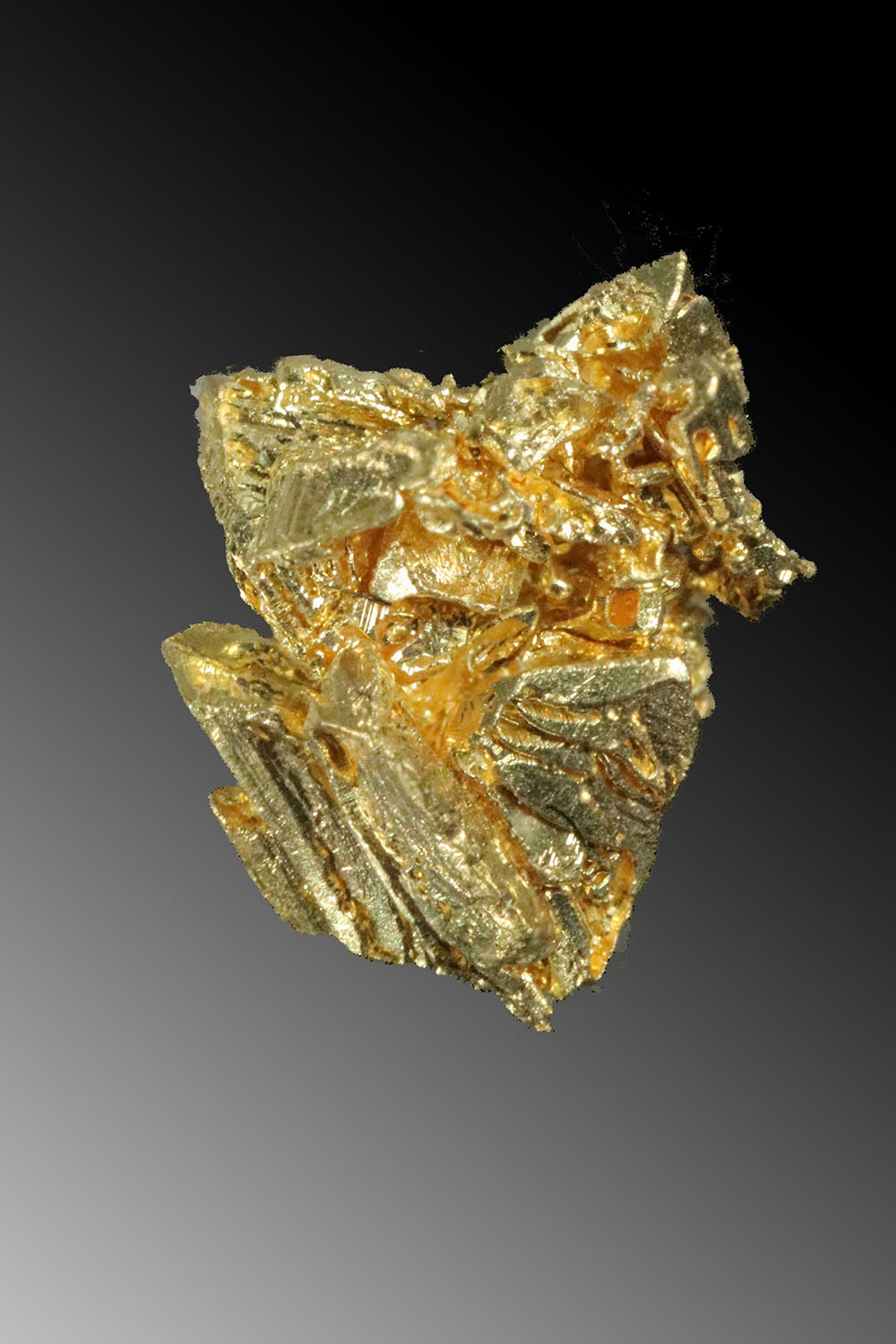 (image for) Natural Gold Crystal Cluster - Round Mountain Mine