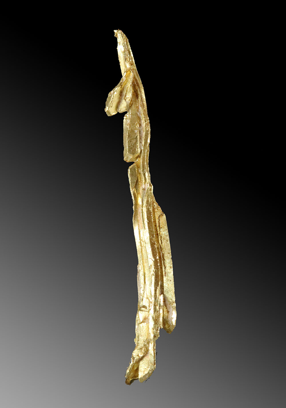 (image for) Long Gold Wire Specimen - Intricate Formation