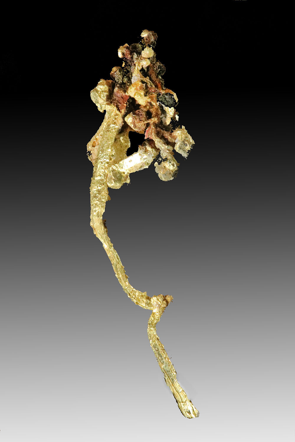 (image for) Very Rare - A Rose - Wire and Crystal Gold Specimen