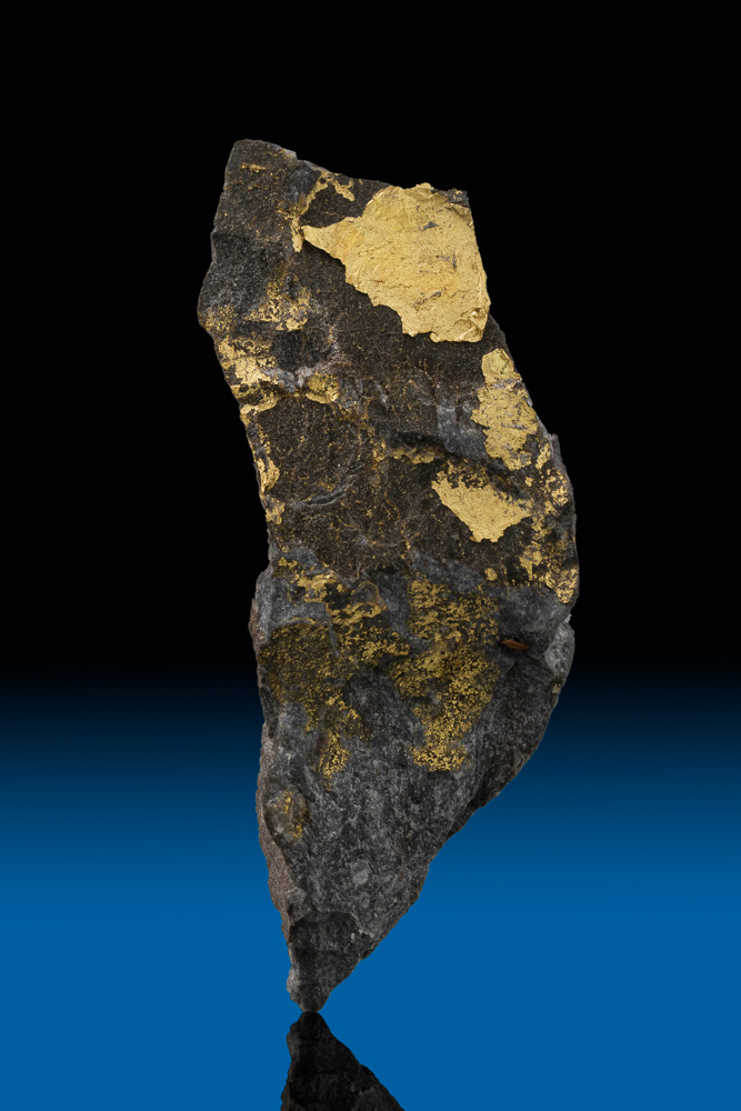 Rare Gold and Slate Specimen California 519.00 Natural gold