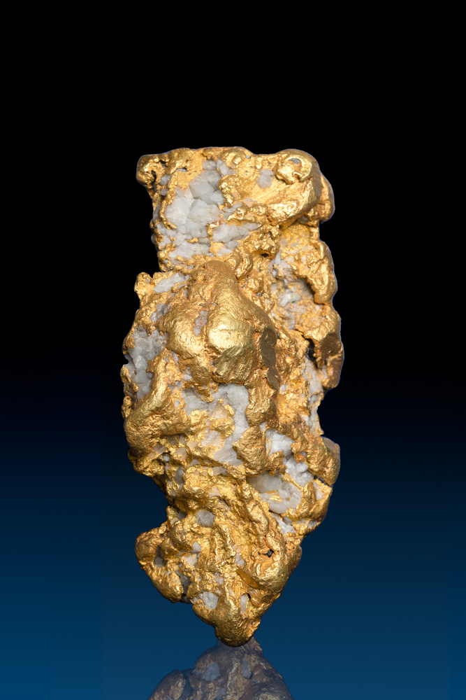 (image for) Huge 13 Troy Ounce British Columbia Gold Nugget with Quartz