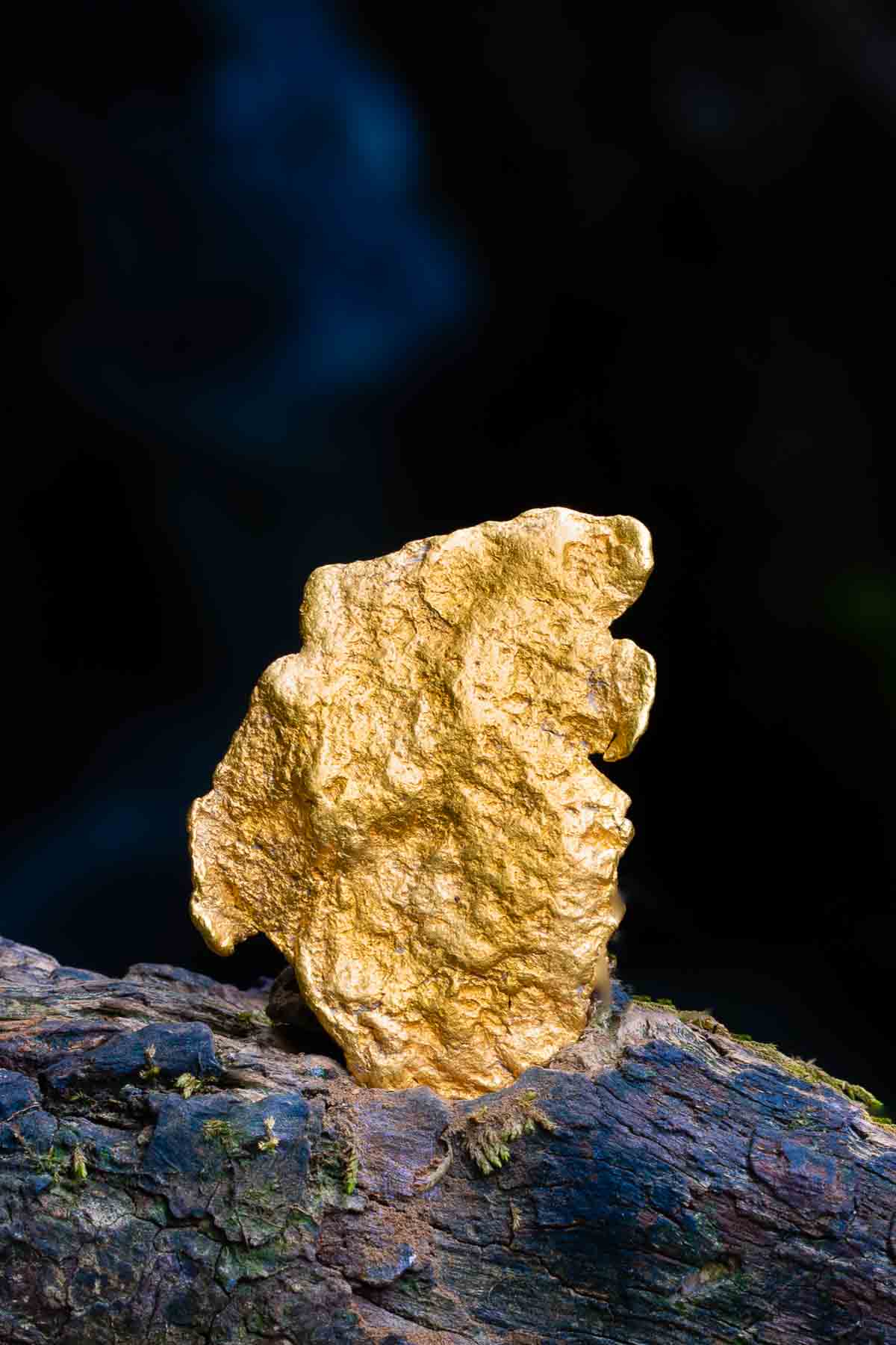 (image for) Beautiful Heavy Leaf Gold Nugget - Victoria, AUS - 3.93 Troy oz