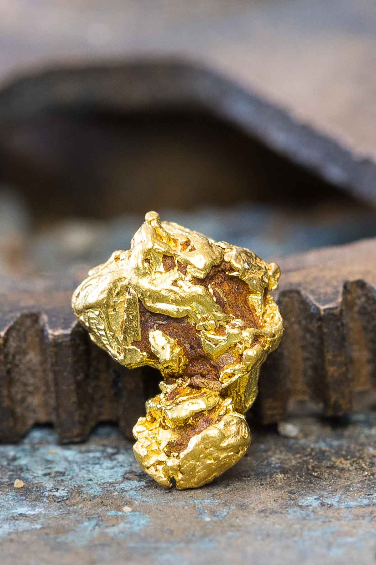 "S" Curved Natural Gold Nugget from Park County, Colorado