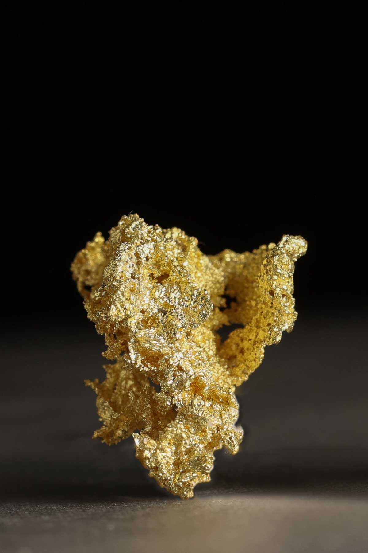 Intricate Crystalline Leaf Gold Specimen from the Oriental Mine