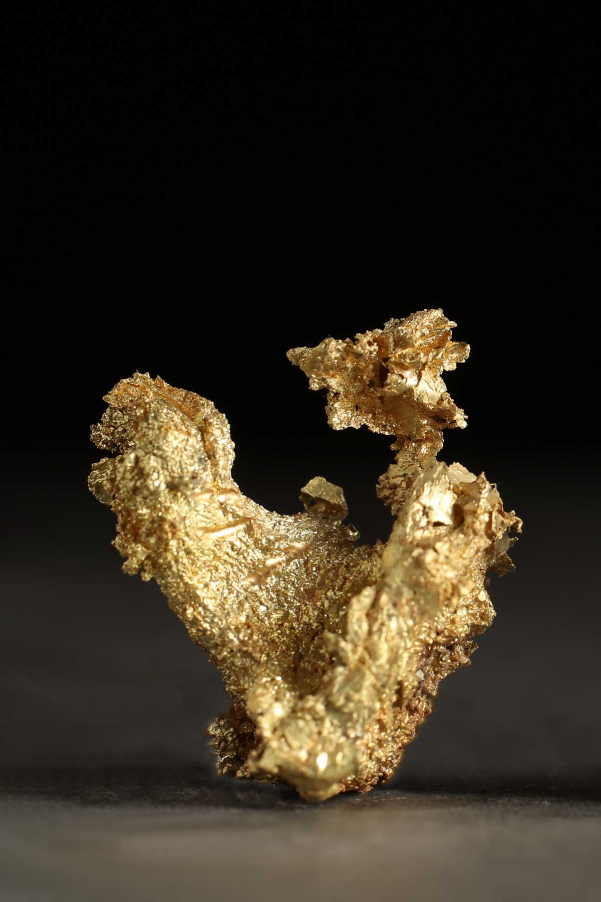 Dense and Unique Crystalline Gold Specimen - Oriental Gold Mine