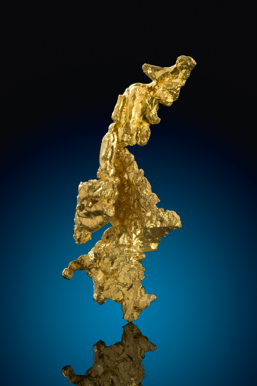 (image for) Colorado Quartz Gold Mine - Mariposa, California