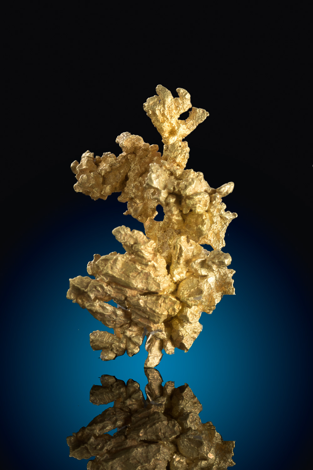 (image for) Large Intricate California Gold Nugget- Mariposa - 16.2 grams - Click Image to Close