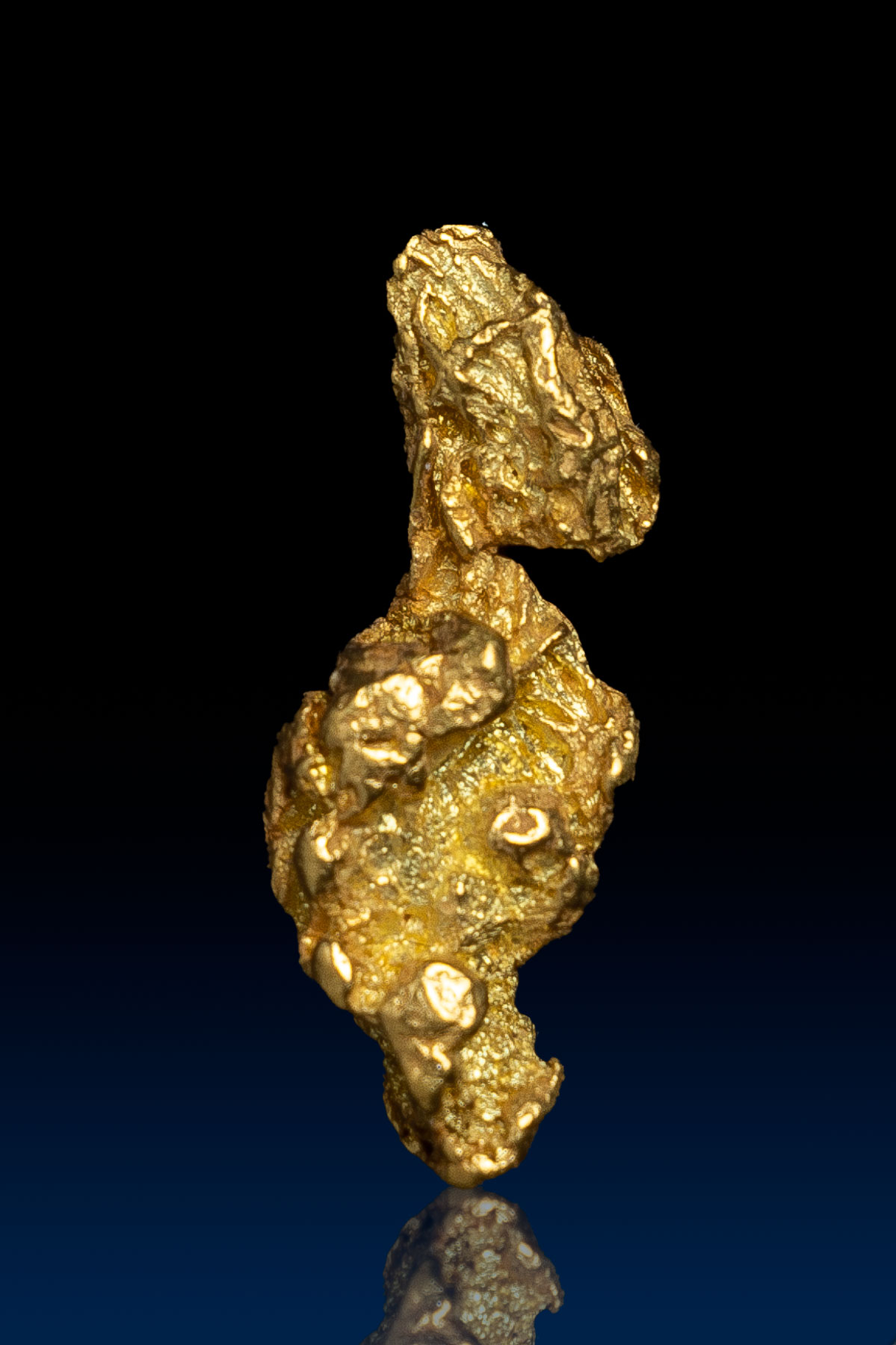 Long "Fishhook" Gold Nugget - from the Alaska 2022 Mining Season