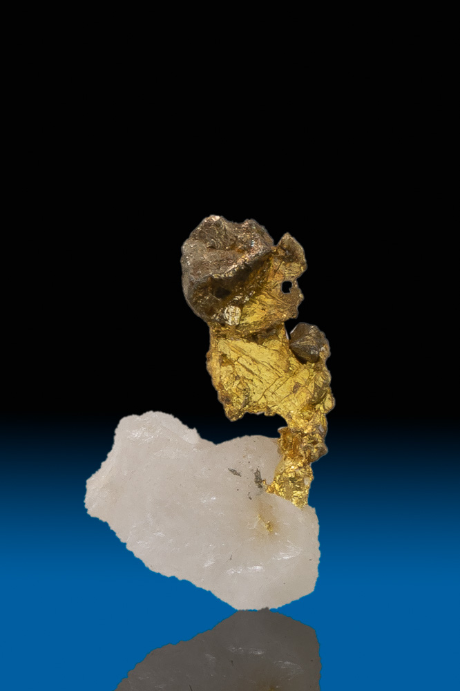 Gold, Quartz and Arsenopyrite Specimen Grass Valley, CA 48.00