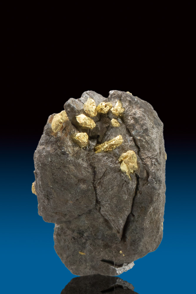 (image for) Black Arsenopyrite and Gold Specimen - Oriental Gold Mine