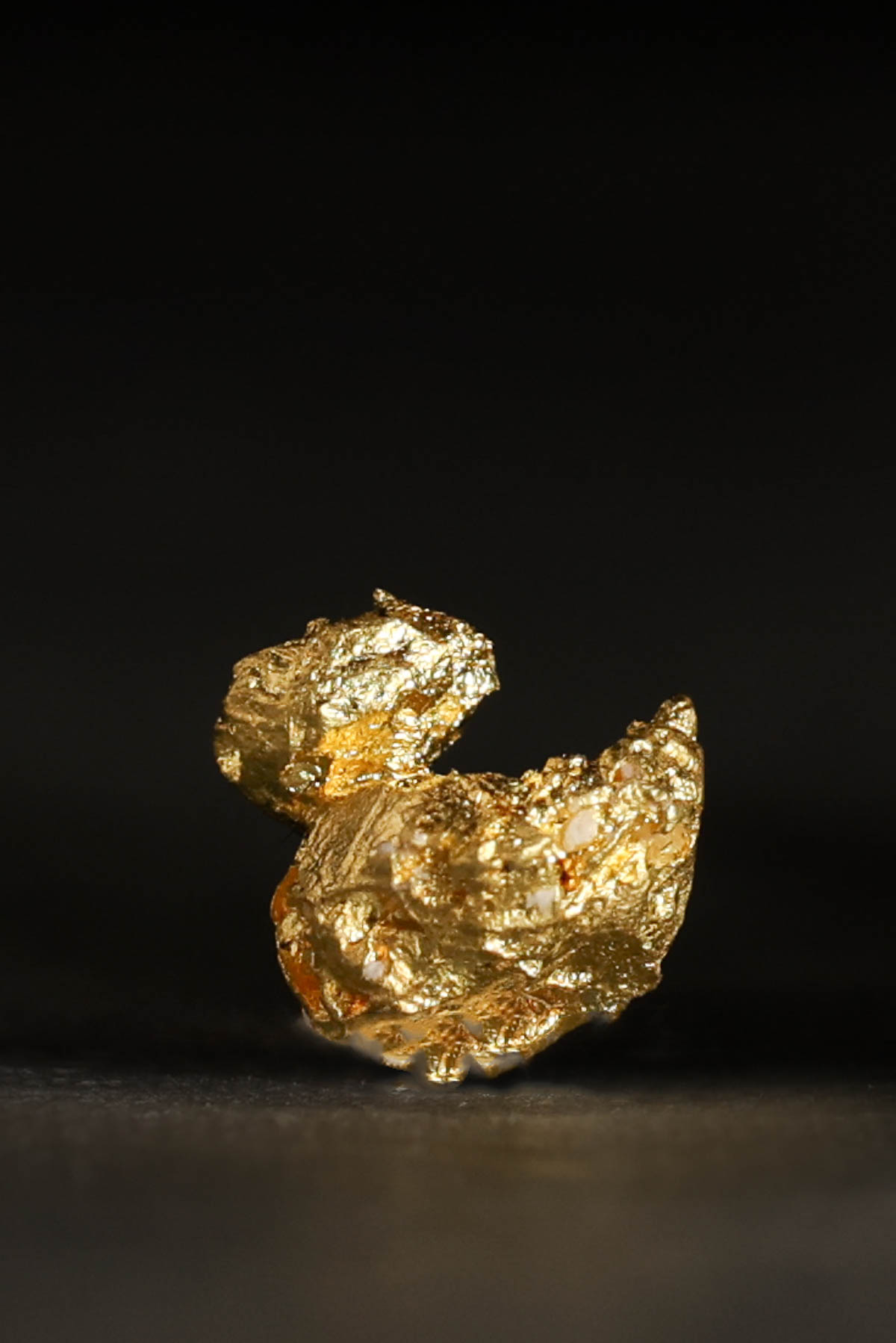 "Rubber Ducky" - Unique Gold Nugget from the Mockingbird Mine