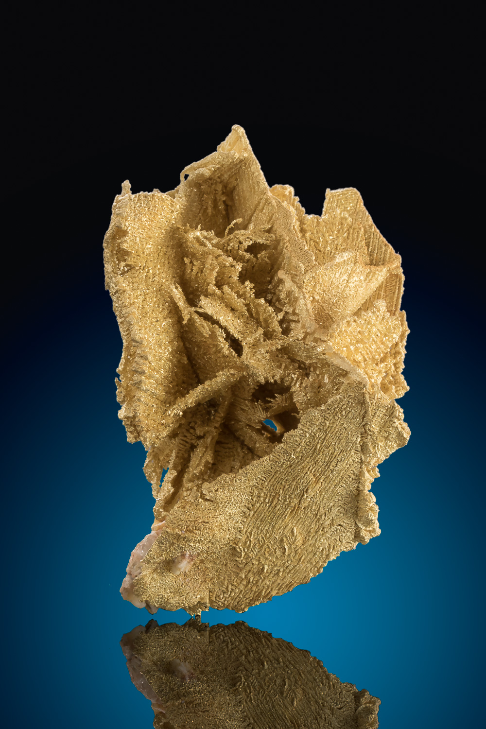 "The Box" Gold Crystal - The Absolute Best from Round Mountain "The Box" Gold Crystal - The Absolute Best from Round Mountain