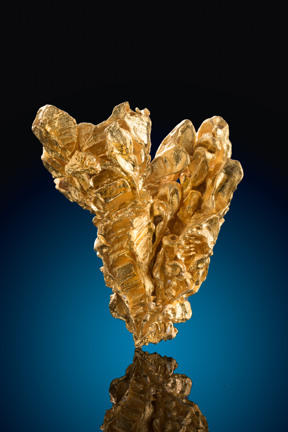 The Crown Jewels of Brazil Gold Crystal from Pontes e Lacerda