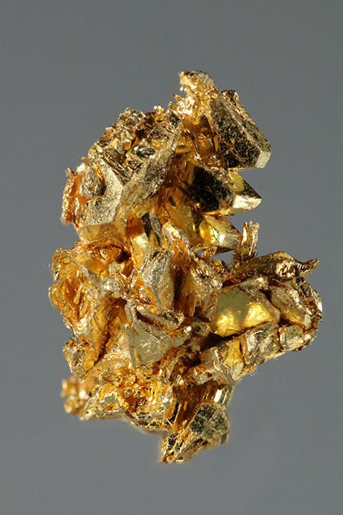 (image for) A chunky Mass of Gold Crystals - Round Mountain Gold Specimen