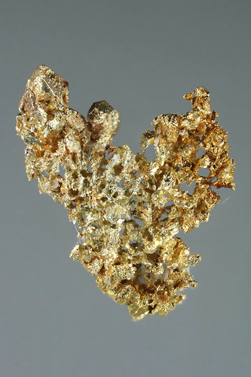 (image for) Defined Microcrystals - Round Mountain Gold Specimen