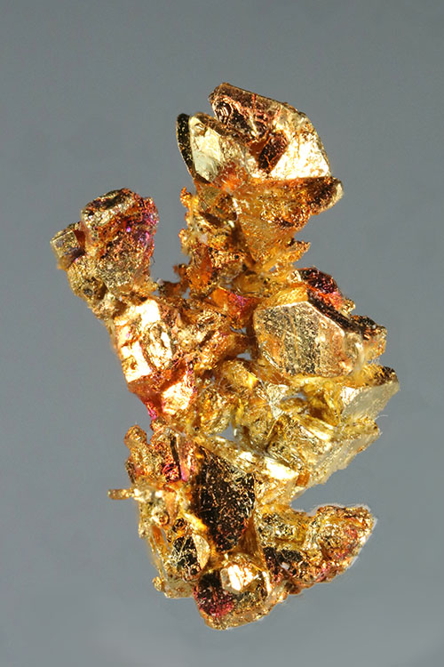 (image for) A Mass of Well Defined Gold Crystals - Round Mountain Gold
