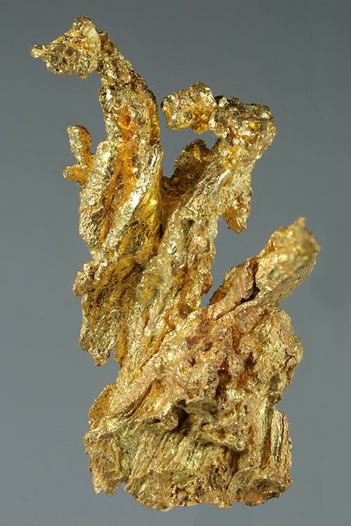 (image for) Eagles Nest Mine, Placer County, CA - Gold Crystal Specimen