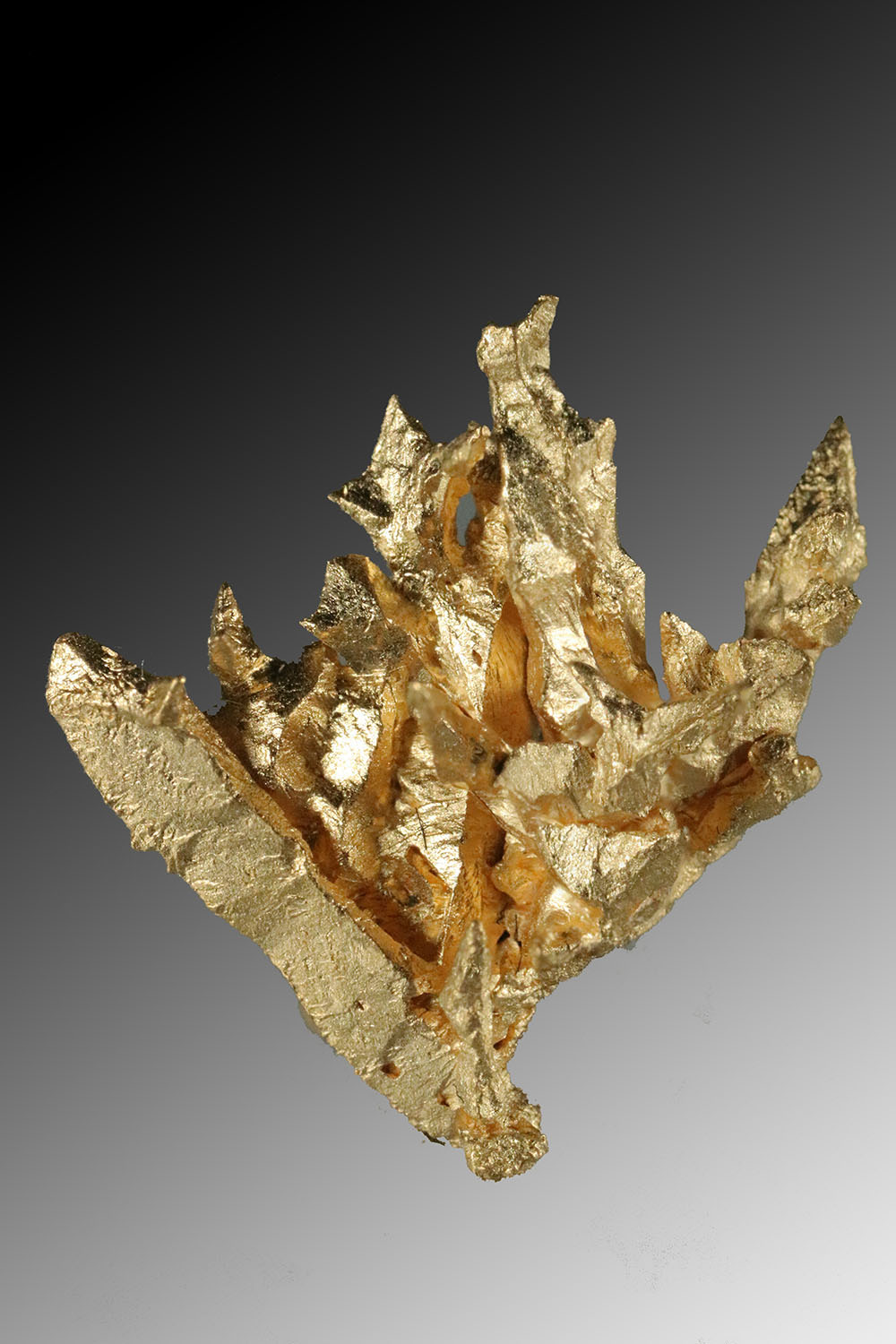 (image for) Multiple Sharp Pointed - Natural Venezuela Gold Crystal