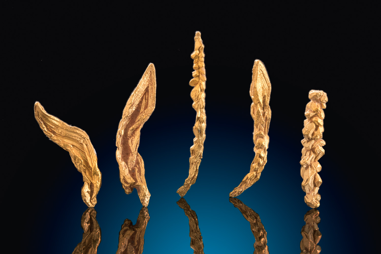 The Magnificent Wire Gold of Liberty Washington State 80.00