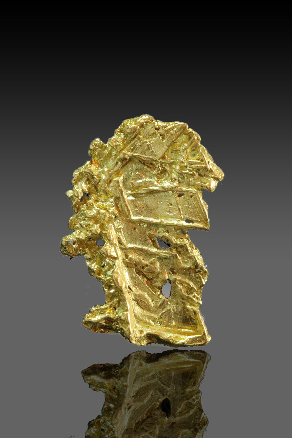 (image for) Intricate Texture - Natural Yukon Gold Specimen