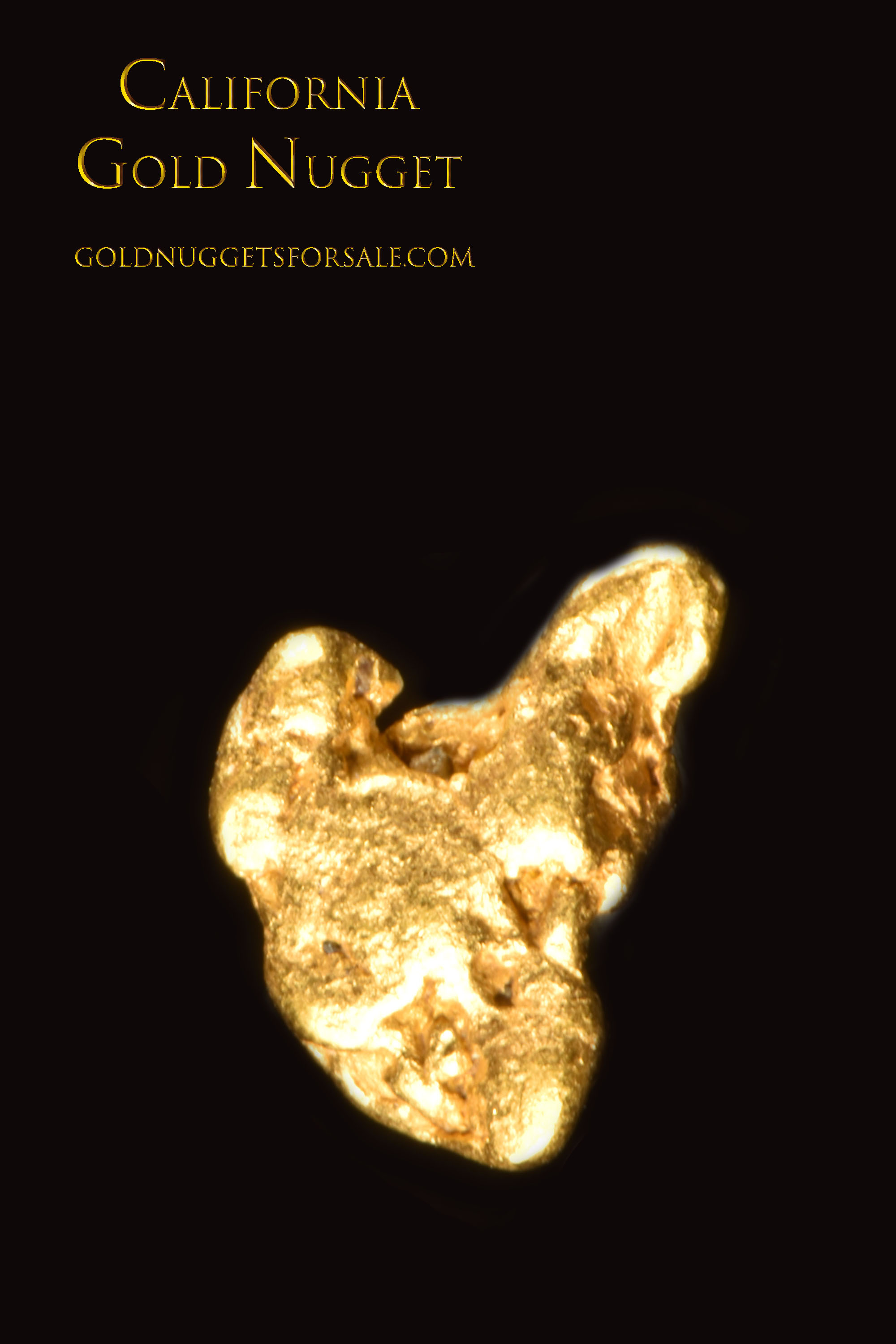(image for) California Gold Nugget - Nicely Priced - Click Image to Close