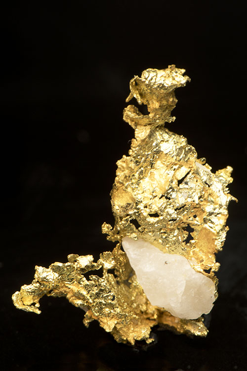 (image for) Oriental Mine, Sierra County, CA - Crystalline Gold - Click Image to Close